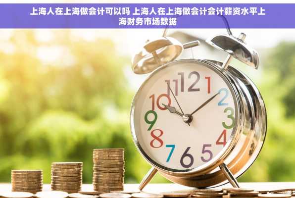 上海人在上海做会计可以吗 上海人在上海做会计会计薪资水平上海财务市场数据
