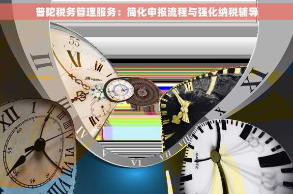 普陀税务管理服务：简化申报流程与强化纳税辅导