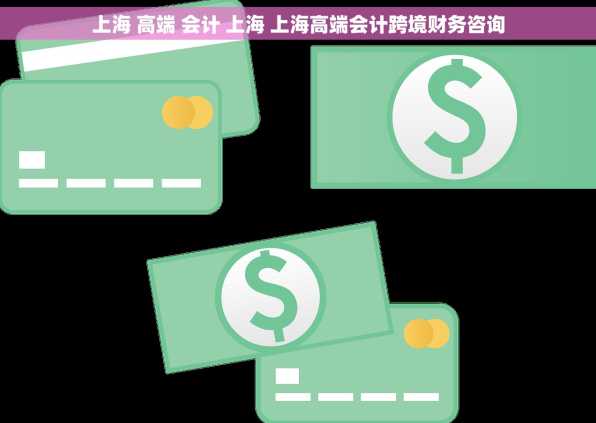 上海 高端 会计 上海 上海高端会计跨境财务咨询