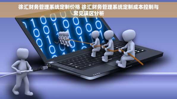 徐汇财务管理系统定制价格 徐汇财务管理系统定制成本控制与常见误区分析