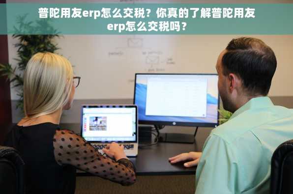 普陀用友erp怎么交税？你真的了解普陀用友erp怎么交税吗？