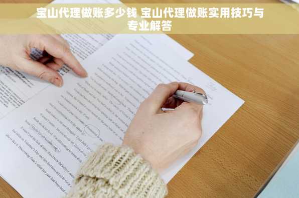 宝山代理做账多少钱 宝山代理做账实用技巧与专业解答