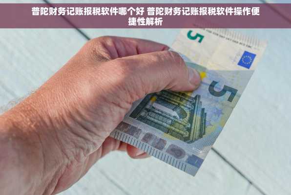 普陀财务记账报税软件哪个好 普陀财务记账报税软件操作便捷性解析