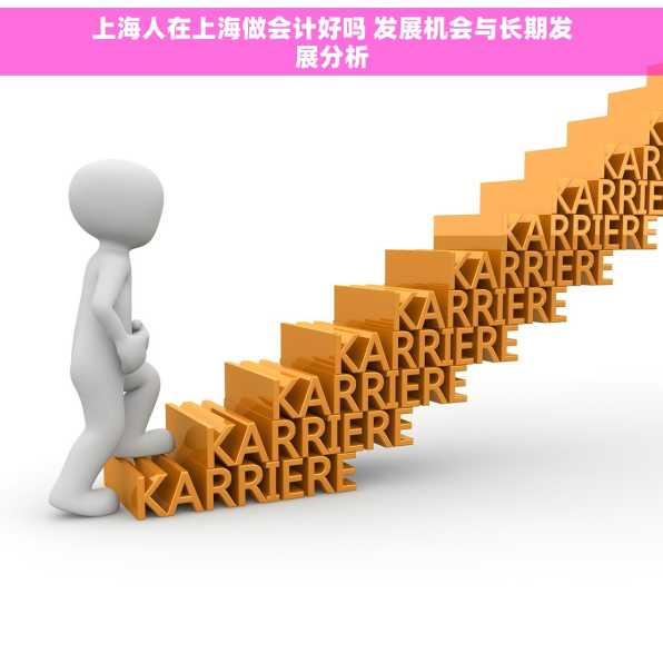 上海人在上海做会计好吗 发展机会与长期发展分析