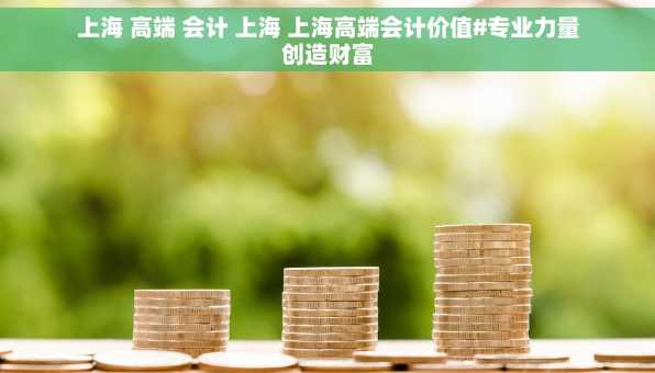 上海 高端 会计 上海 上海高端会计价值#专业力量创造财富