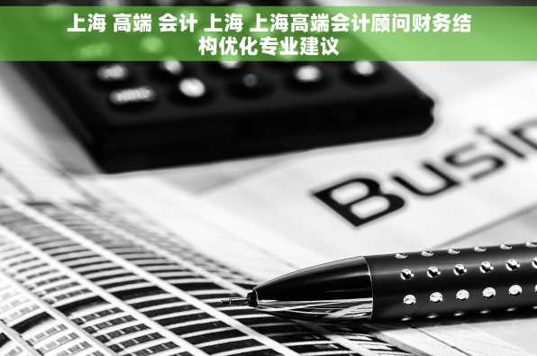 上海 高端 会计 上海 上海高端会计顾问财务结构优化专业建议