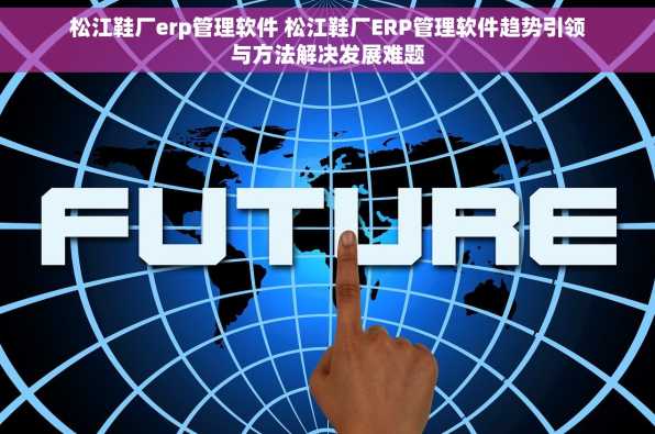 松江鞋厂erp管理软件 松江鞋厂ERP管理软件趋势引领与方法解决发展难题