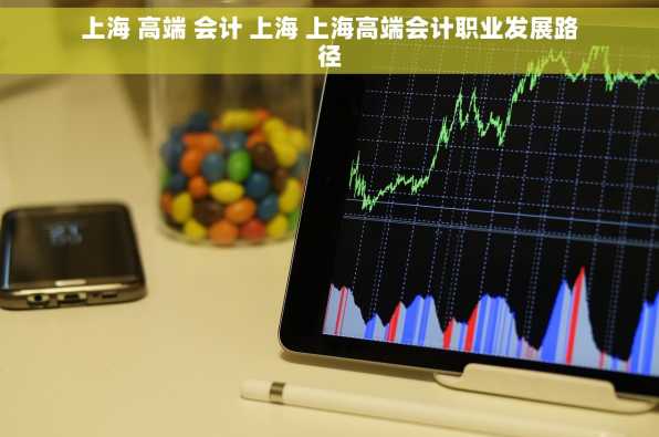 上海 高端 会计 上海 上海高端会计职业发展路径