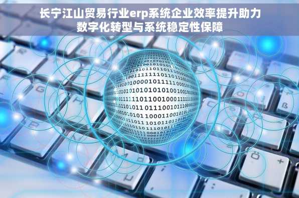 长宁江山贸易行业erp系统企业效率提升助力数字化转型与系统稳定性保障