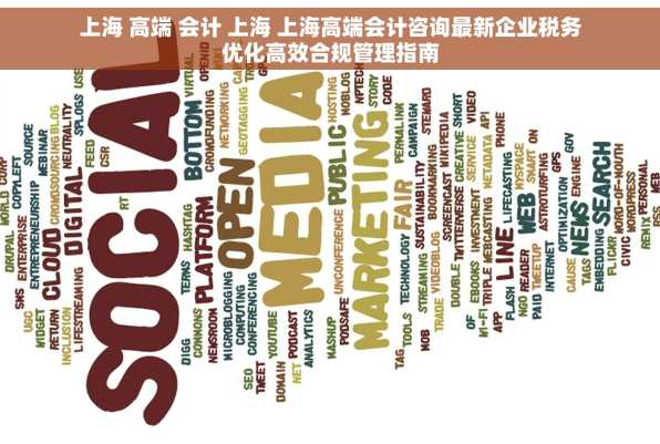 上海 高端 会计 上海 上海高端会计咨询最新企业税务优化高效合规管理指南