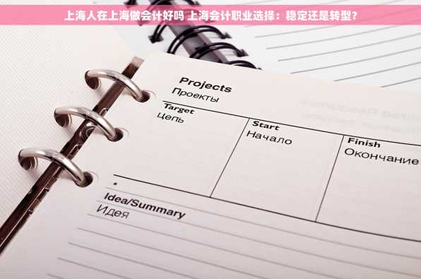 上海人在上海做会计好吗 上海会计职业选择：稳定还是转型？