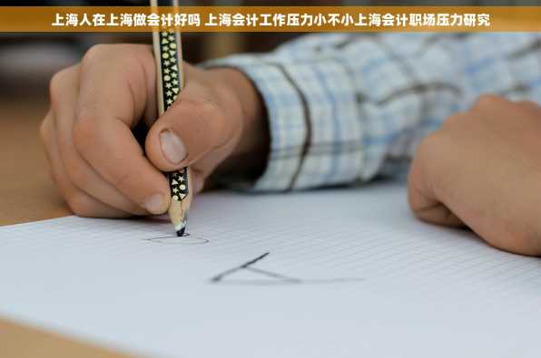 上海人在上海做会计好吗 上海会计工作压力小不小上海会计职场压力研究