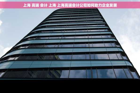 上海 高端 会计 上海 上海高端会计公司如何助力企业发展