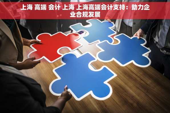 上海 高端 会计 上海 上海高端会计支持：助力企业合规发展