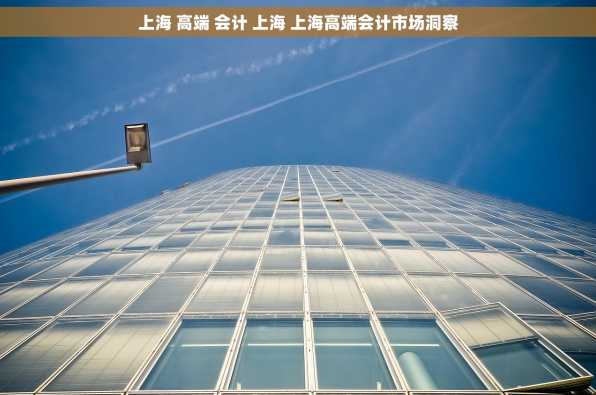 上海 高端 会计 上海 上海高端会计市场洞察