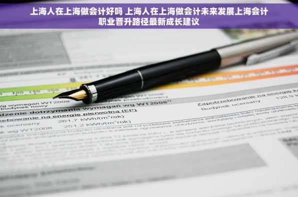 上海人在上海做会计好吗 上海人在上海做会计未来发展上海会计职业晋升路径最新成长建议