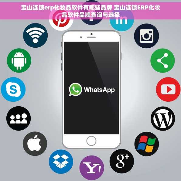 宝山连锁erp化妆品软件有哪些品牌 宝山连锁ERP化妆品软件品牌查询与选择