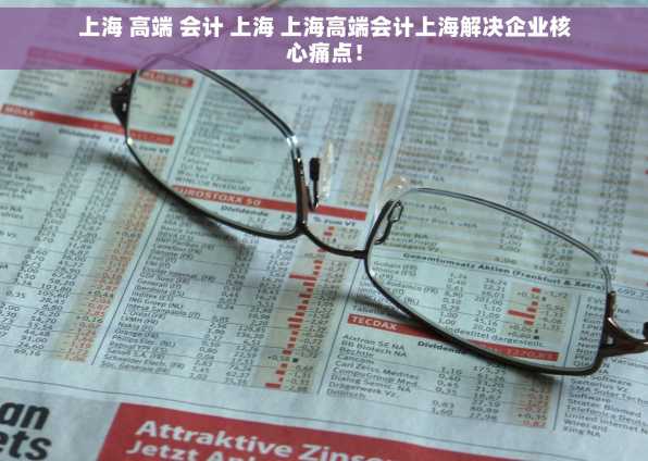 上海 高端 会计 上海 上海高端会计上海解决企业核心痛点！