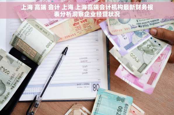 上海 高端 会计 上海 上海高端会计机构最新财务报表分析洞察企业经营状况