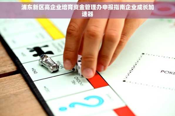 浦东新区高企业培育资金管理办申报指南企业成长加速器