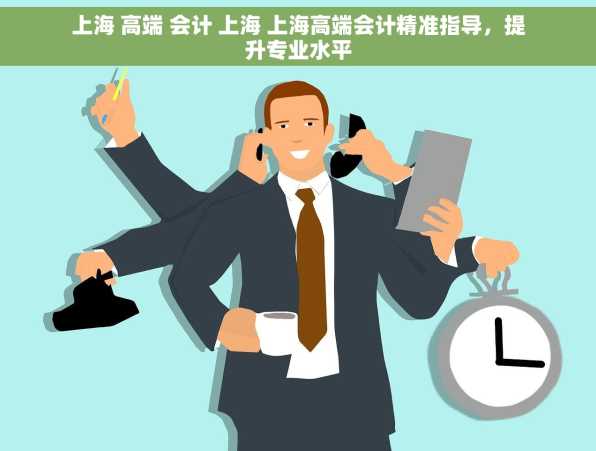 上海 高端 会计 上海 上海高端会计精准指导，提升专业水平