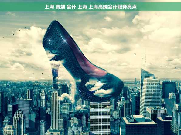 上海 高端 会计 上海 上海高端会计服务亮点