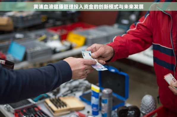黄浦血液健康管理投入资金的创新模式与未来发展