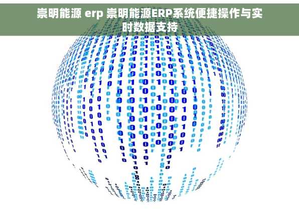 崇明能源 erp 崇明能源ERP系统便捷操作与实时数据支持