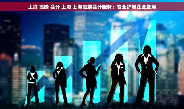 上海 高端 会计 上海 上海高端会计服务：专业护航企业发展