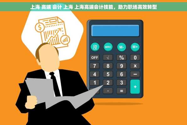 上海 高端 会计 上海 上海高端会计技能，助力职场高效转型