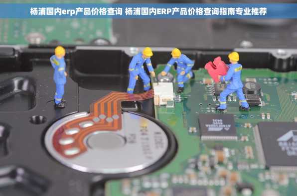 杨浦国内erp产品价格查询 杨浦国内ERP产品价格查询指南专业推荐