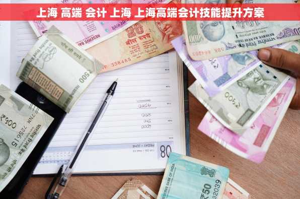 上海 高端 会计 上海 上海高端会计技能提升方案
