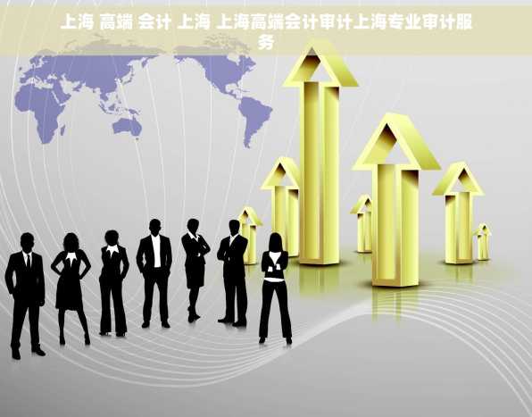 上海 高端 会计 上海 上海高端会计审计上海专业审计服务