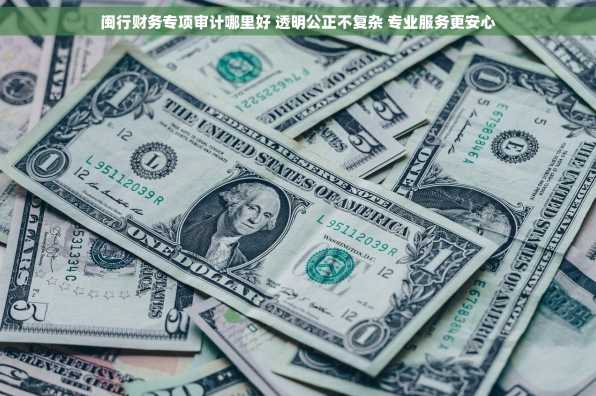 闽行财务专项审计哪里好 透明公正不复杂 专业服务更安心