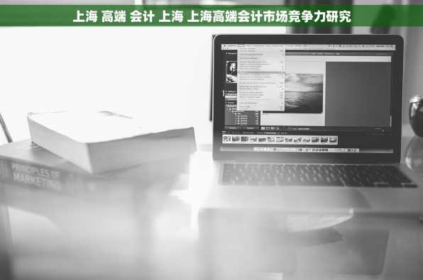 上海 高端 会计 上海 上海高端会计市场竞争力研究