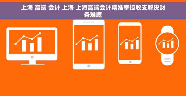 上海 高端 会计 上海 上海高端会计精准掌控收支解决财务难题