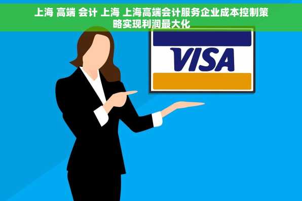 上海 高端 会计 上海 上海高端会计服务企业成本控制策略实现利润最大化