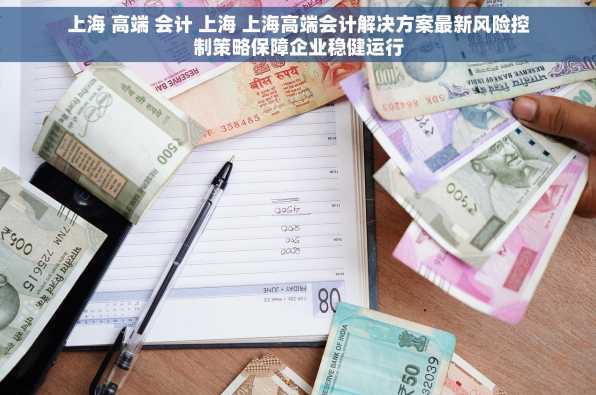上海 高端 会计 上海 上海高端会计解决方案最新风险控制策略保障企业稳健运行