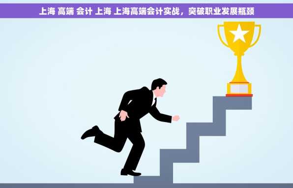 上海 高端 会计 上海 上海高端会计实战，突破职业发展瓶颈