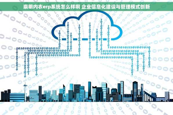 崇明内衣erp系统怎么样啊 企业信息化建设与管理模式创新