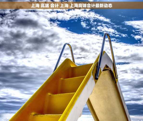 上海 高端 会计 上海 上海高端会计最新动态