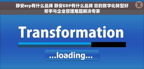 静安erp有什么品牌 静安ERP有什么品牌 您的数字化转型好帮手与企业管理难题解决专家