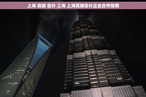上海 高端 会计 上海 上海高端会计企业合作指南