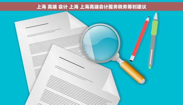 上海 高端 会计 上海 上海高端会计服务税务筹划建议