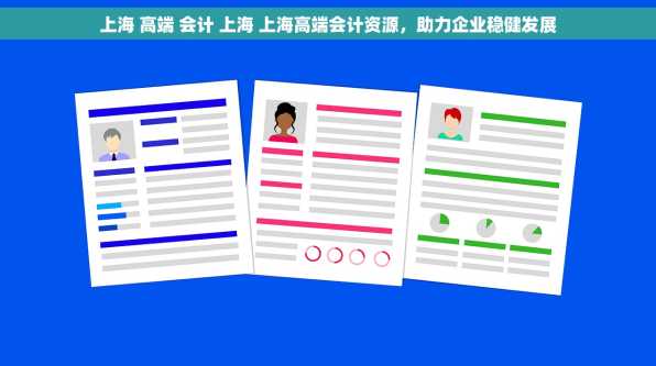 上海 高端 会计 上海 上海高端会计资源，助力企业稳健发展