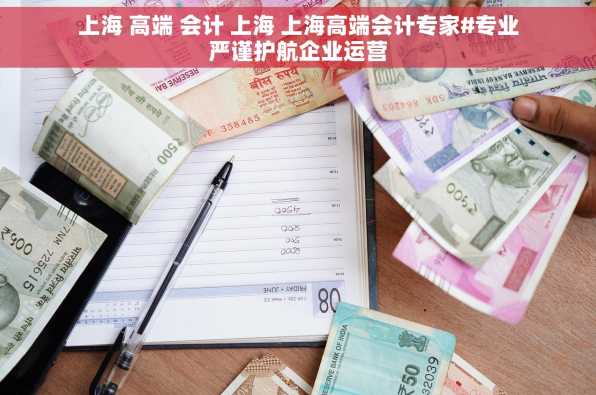 上海 高端 会计 上海 上海高端会计专家#专业严谨护航企业运营