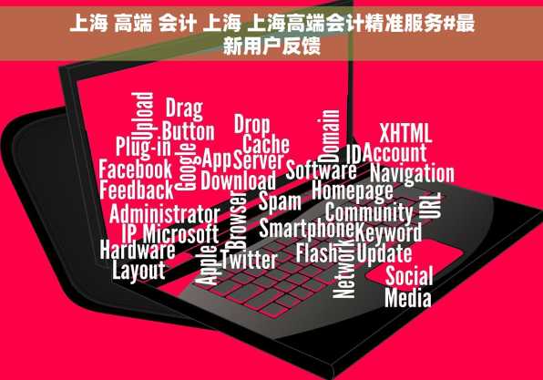 上海 高端 会计 上海 上海高端会计精准服务#最新用户反馈