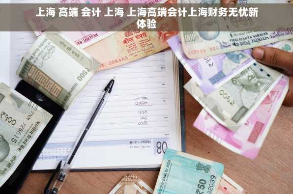 上海 高端 会计 上海 上海高端会计上海财务无忧新体验