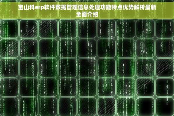 宝山科erp软件数据管理信息处理功能特点优势解析最新全面介绍