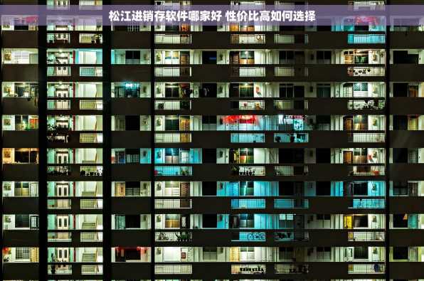 松江进销存软件哪家好 性价比高如何选择